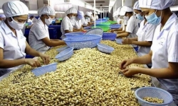 Nhiều nông sản xuất xứ Việt Nam sẽ không được hưởng thuế suất ưu đãi
