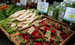Chưa tới 1% dân số Việt Nam sử dụng sản phẩm nông nghiệp hữu cơ
