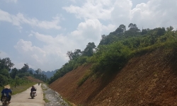 Võ Nhai, Thái Nguyên: Hàng chục nghìn m2 đất rừng đặc dụng bị phá để làm đường