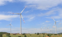 Phát triển Ninh Thuận thành trung tâm năng lượng tái tạo của cả nước