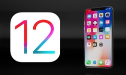 iOS 12 chính thức đến tay người dùng