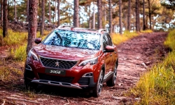 Peugeot bảo hành tới 5 năm cho SUV 5008 và 3008 AllNew từ tháng 10/2018