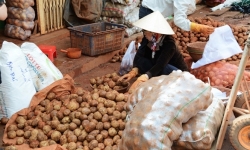 Buộc ghi nhãn hàng hóa có giảm nông sản ngoại “đội lốt” hàng Việt?

