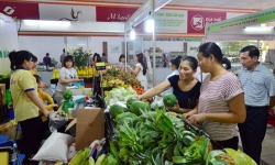 Ngành nông nghiệp Hà Nội bảo đảm nguồn hàng nông sản dịp Tết