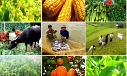 Năm 2019 nông nghiệp Việt Nam muốn xác lập kỷ lục xuất khẩu cao nhất từ trước đến nay