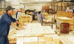 Việt Nam xuất khẩu sản phẩm gỗ sang 28 nước EU


