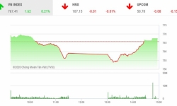 Thị trường chứng khoán 14/4: Kết phiên, VN-Index có đấu hiệu hồi phục