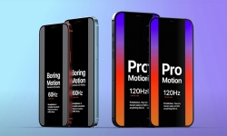 iPhone 12 Pro và iPhone 12 Pro Max sẽ trang bị màn hình ProMotion 120Hz