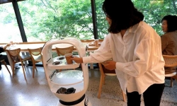 Quán cà phê ở Hàn Quốc sử dụng robot làm nhân viên