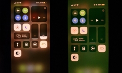 iPhone 11 series xuất hiện lỗi màn hình xanh khi mở khóa máy, lỗi do phần cứng hay phần mềm?