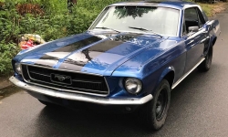 Xe Ford Mustang 1967 Coupe được chào bán hơn 1 tỉ đồng