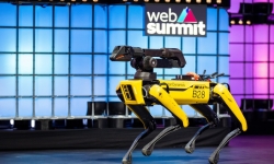 Boston Dynamics chính thức bán chó robot với giá 74.500 USD
