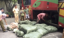 Quảng Ninh: Phát hiện ô tô khách vận chuyển 1,7 tấn thịt vịt không rõ nguồn gốc