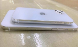 iPhone 12 phiên bản 4G dự kiến ra mắt vào tháng 9 sẽ có giá từ 549 USD