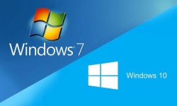 Thị phần Windows 7 không hề giảm dù đã ngừng hỗ trợ