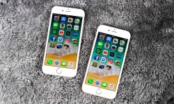 Apple phát hành iOS 12.5 dành riêng cho iPhone 5s, iPhone 6