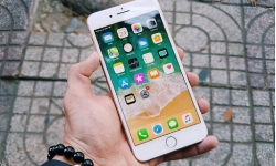 iPhone 8 Plus chính hãng bị khai tử tại Việt Nam