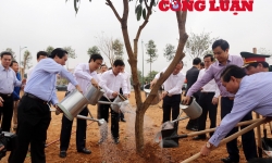 Phú Thọ ra quân phát động Tết trồng cây xuân Kỷ Hợi 2019