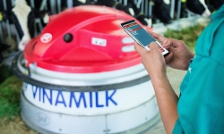 Resort bò sữa Vinamilk Tây Ninh - ngôi nhà lý tưởng của những 'cô bò' hạnh phúc