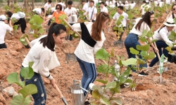 10.000 cây xanh được gieo trồng trong Lễ phát động chiến dịch Go Green 2019 của Tập đoàn FLC