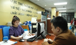 Hà Nội có 100% doanh nghiệp đăng ký thành lập trực tuyến