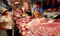 Giá thịt lợn bắt đầu tăng do dịch được kiểm soát