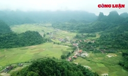 Chủ tịch UBND tỉnh Bắc Kạn yêu cầu xử lý nghiêm vụ phá rừng tại huyện Bạch Thông