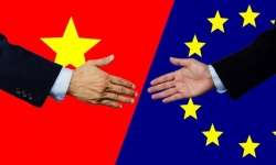 Ký kết EVFTA và IPA: Mở cửa cho hàng Việt tìm đường vào EU