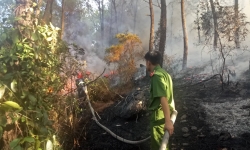 Huế: Nghi vấn đốt vàng mã ngày rằm tháng 7 gây cháy rừng lớn