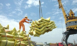 Hải quan mở tờ khai xuất khẩu gạo lúc 0 giờ: Có tiêu cực, lợi ích nhóm hay không?