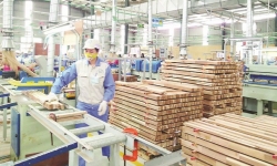 Mỹ xem xét đánh thuế với gỗ dán nhập khẩu của Việt Nam