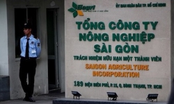 Bản tin pháp luật 8H:  5 cán bộ tại TP Hồ Chí Minh bị khởi tố cùng 1 ngày