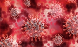 COVID-19 tồn tại trên da người lâu hơn 5 lần so với bệnh cúm mùa
