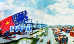 Chuyển đổi số để tận dụng cơ hội từ hiệp định EVFTA
