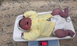 Bé trai sơ sinh ở Hà Nội vừa chào đời đã nặng gần 6kg