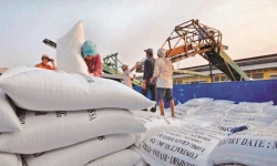 Philippines vẫn là thị trường xuất khẩu gạo số 1 của Việt Nam