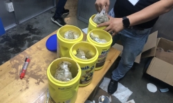Hải quan Tân Sơn Nhất bắt giữ gần 6kg ma túy trong hàng từ Mỹ