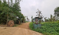 Tình trạng lấn chiếm đất nông nghiệp ven sông Hồng tái phát: Thủ tướng chỉ đạo xử lý nghiêm