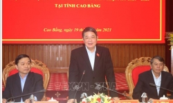Phó Chủ tịch Quốc hội Nguyễn Đức Hải kiểm tra công tác chuẩn bị bầu cử tại Cao Bằng