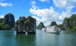 Quảng Ninh: Tạm dừng toàn bộ hoạt động du lịch trên toàn tỉnh, bao gồm cả vịnh Hạ Long từ 12h trưa nay