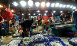 TP.HCM: Tìm người từng đến chợ đầu mối Hóc Môn, chợ Sơn Kỳ và Bình Điền