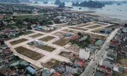 Vi phạm về quản lý, sử dụng đất đai: Phó Giám đốc Sở Tài nguyên và Môi trường Quảng Ninh bị kỷ luật