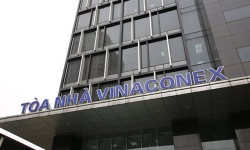 Vinaconex (VCG) sắp chi 526 tỷ đồng để trả cổ tức