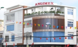 Angimex (AGM) bị HoSE nhắc nhở về việc tạm hoãn trả cổ tức 2020
