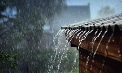 Dự báo thời tiết 24/10: Trung Bộ, Bắc Tây Nguyên có nơi mưa to và dông, Nam Bộ mưa to cục bộ