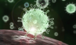 Sẽ có một loại virus mới xuất hiện còn nguy hiểm hơn cả Covid-19?