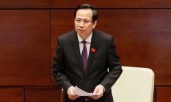 Bộ trưởng Đào Ngọc Dung lý giải việc 22.000 người nhận nhầm tiền hỗ trợ