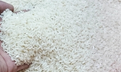 Nghệ An: Ăn phải gạo tẩm thuốc diệt chuột, 3 cháu bé phải đi cấp cứu khẩn