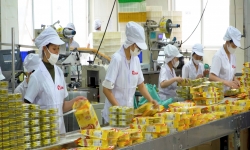 Doanh nghiệp Việt tìm giải pháp tăng trưởng trong bối cảnh 'bình thường mới'