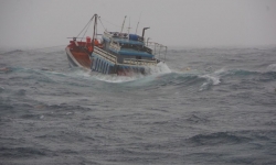 Tàu cá trôi tự do trong thời tiết xấu, 15 ngư dân kêu cứu